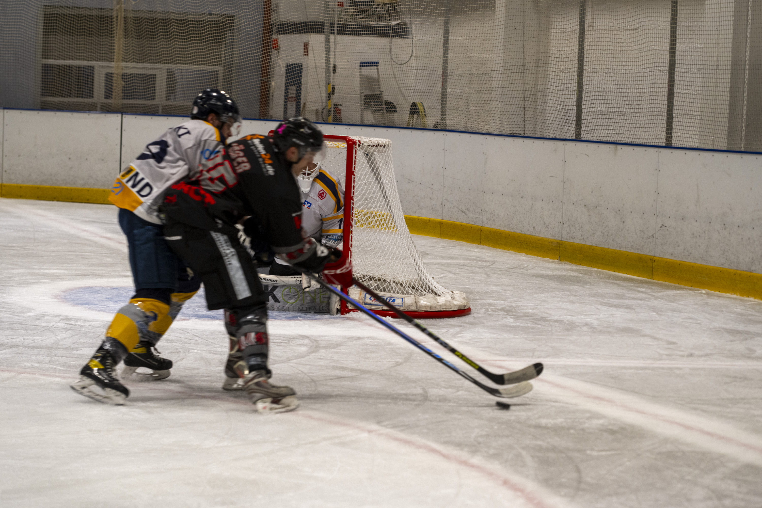 Testspiel der Herren gegen die Eisadler Dortmund 1b