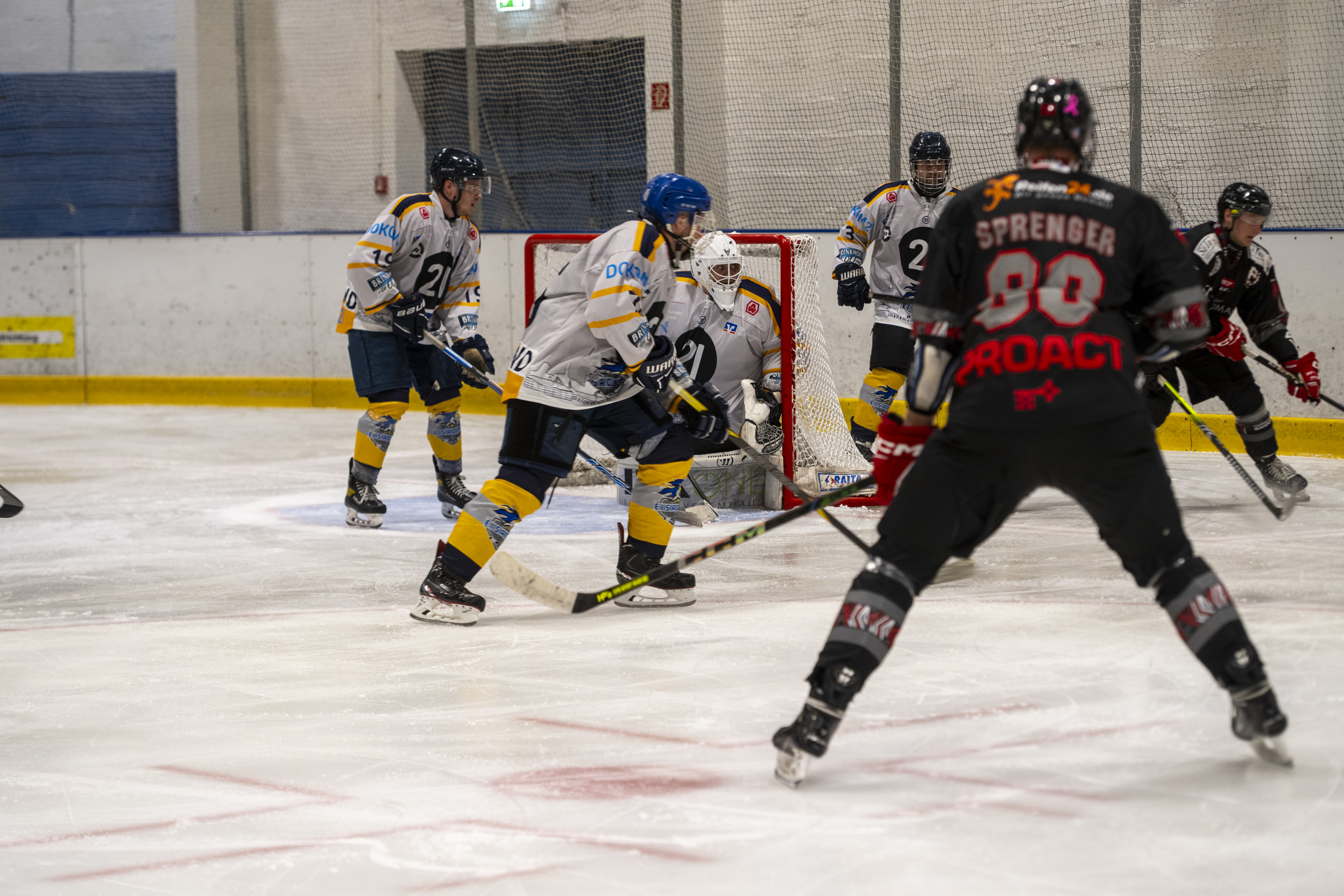 Testspiel der Herren gegen die Eisadler Dortmund 1b