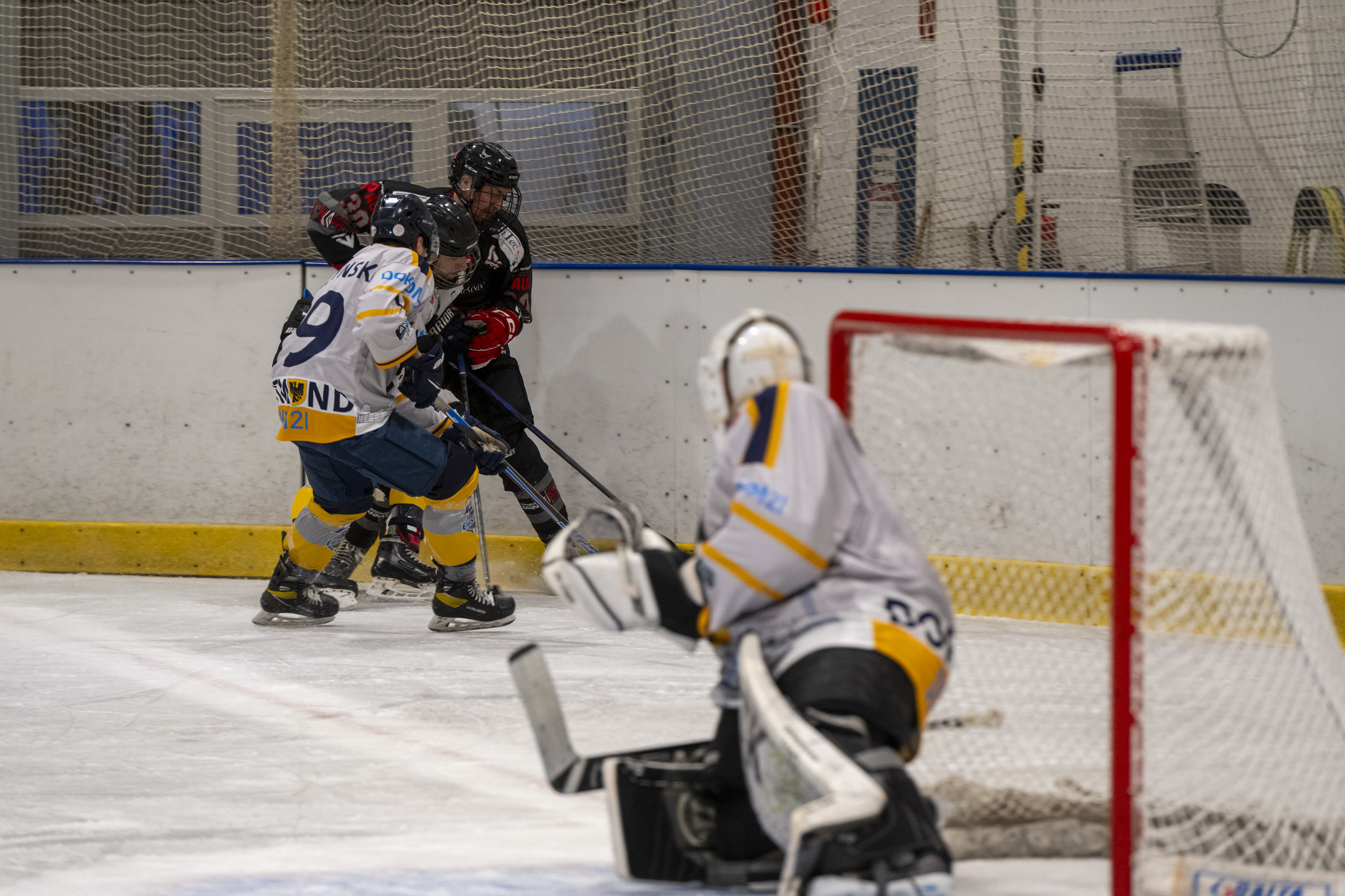 Testspiel der Herren gegen die Eisadler Dortmund 1b
