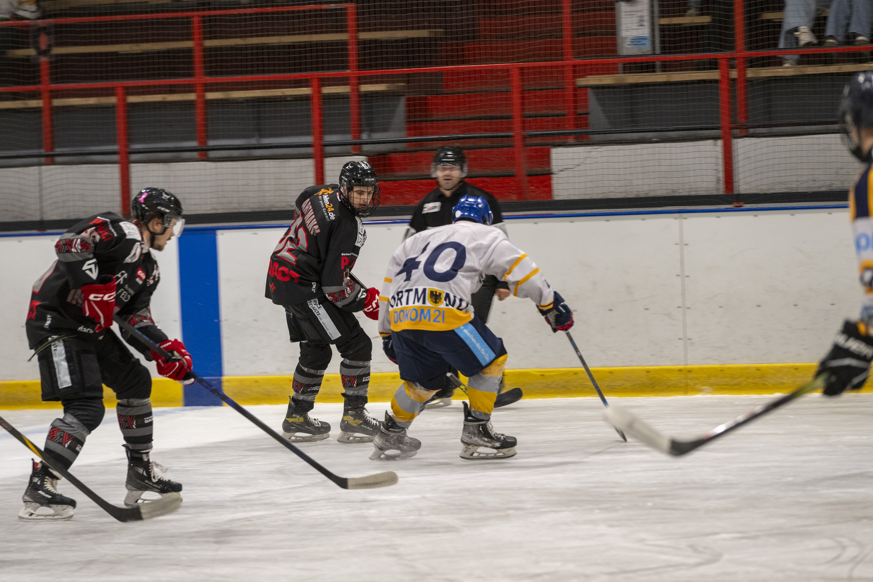Testspiel der Herren gegen die Eisadler Dortmund 1b