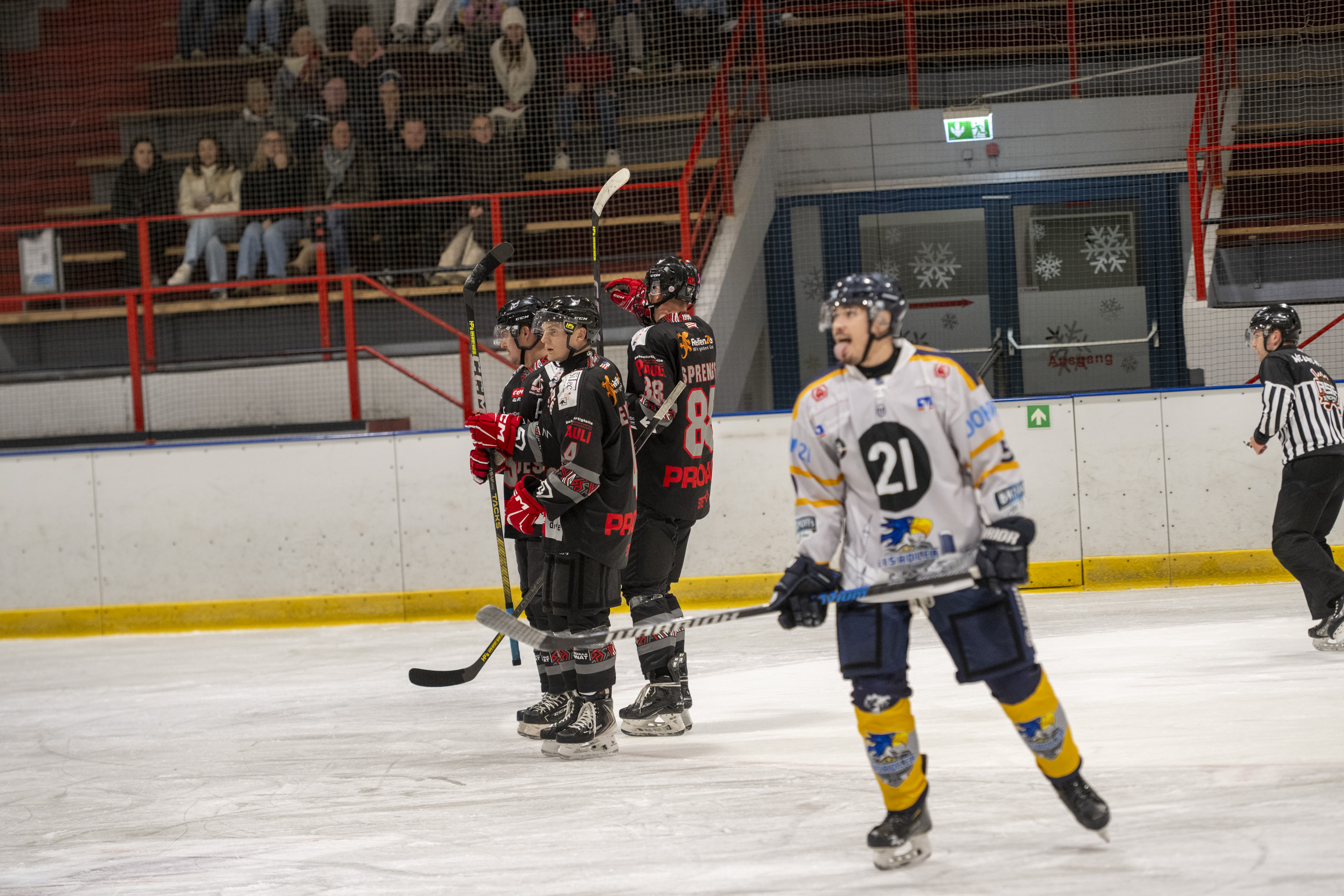 Testspiel der Herren gegen die Eisadler Dortmund 1b