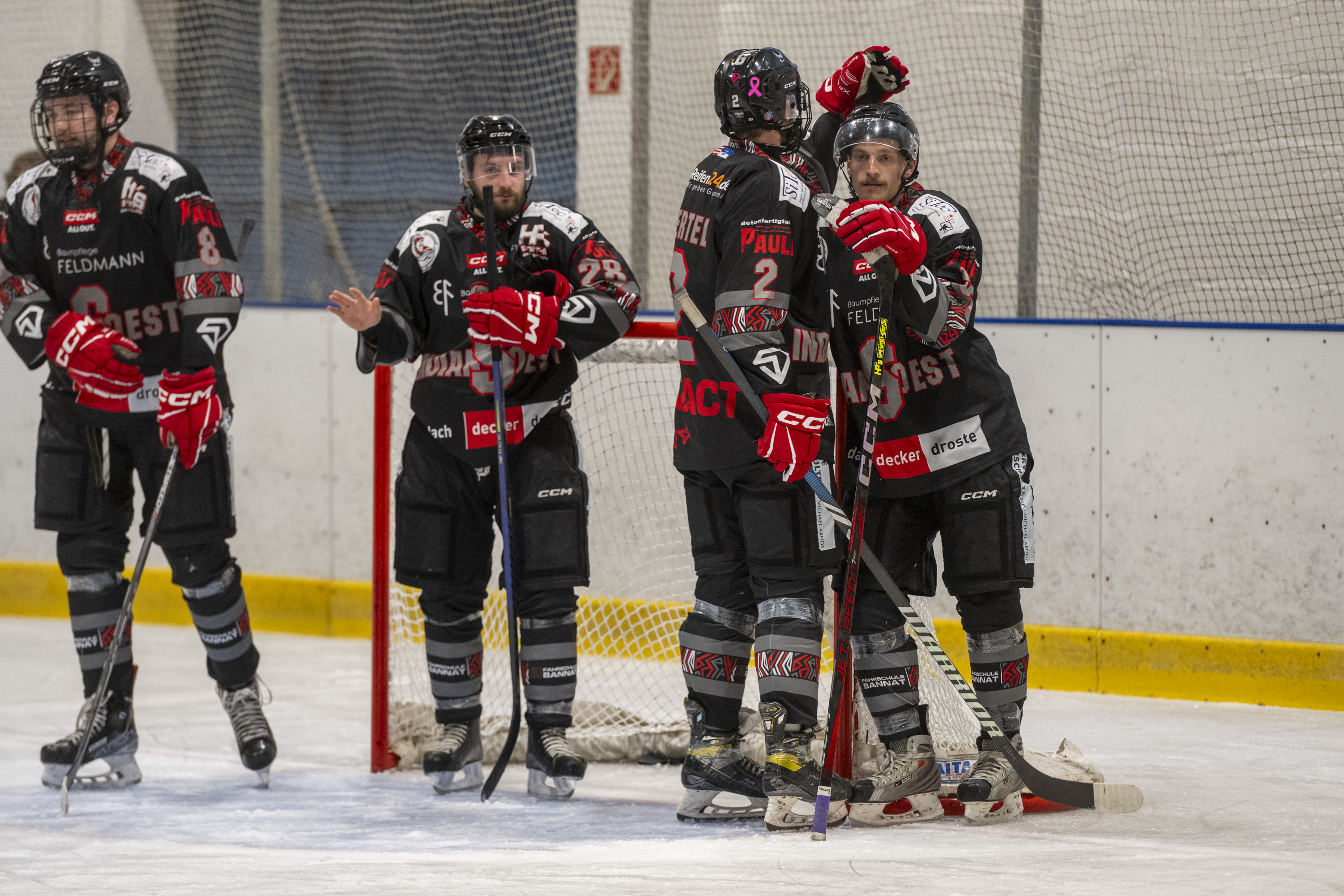 Testspiel der Herren gegen die Eisadler Dortmund 1b