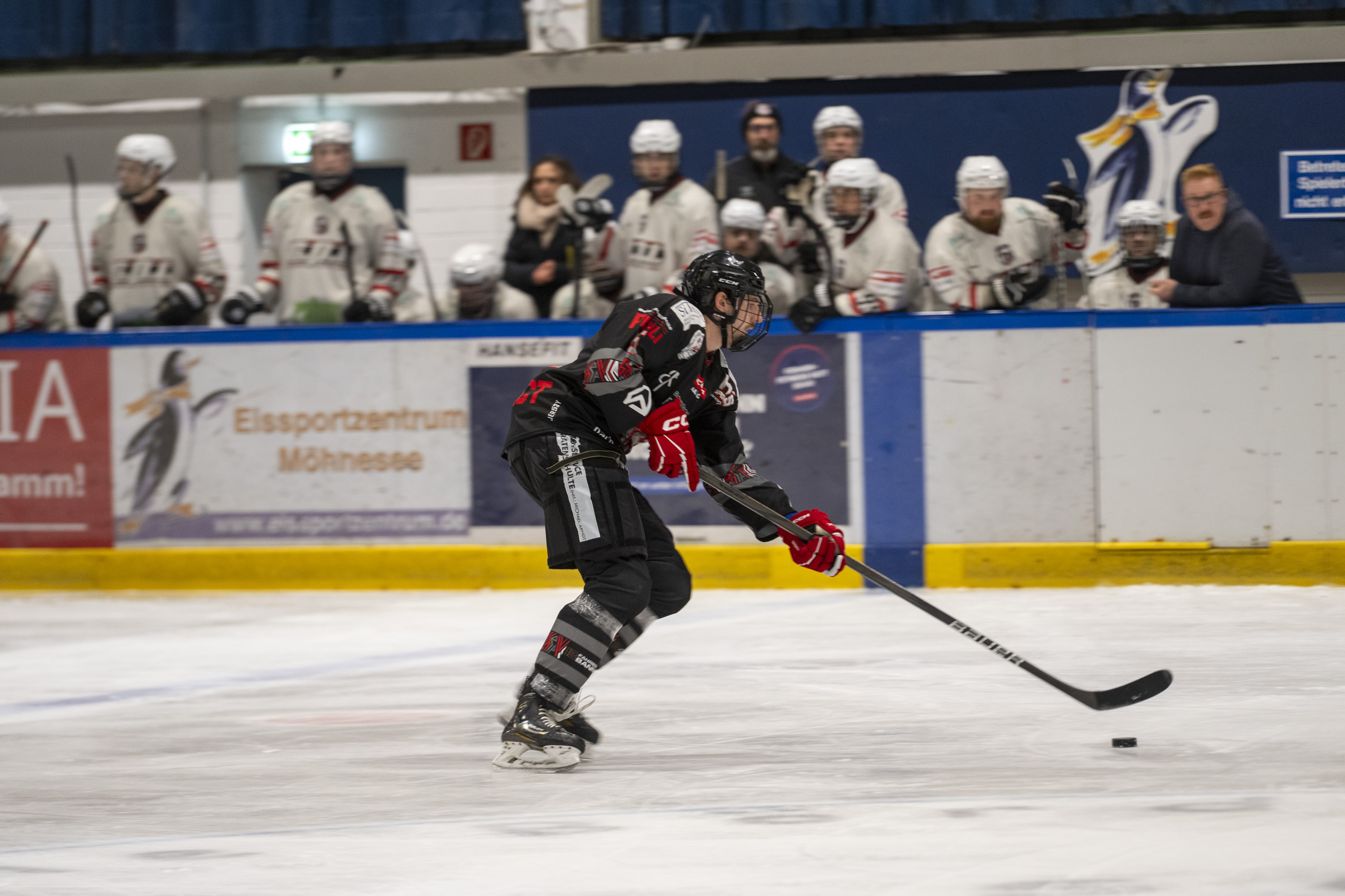 Soester EG vs. EHC Troisdorf am 02.11.2025