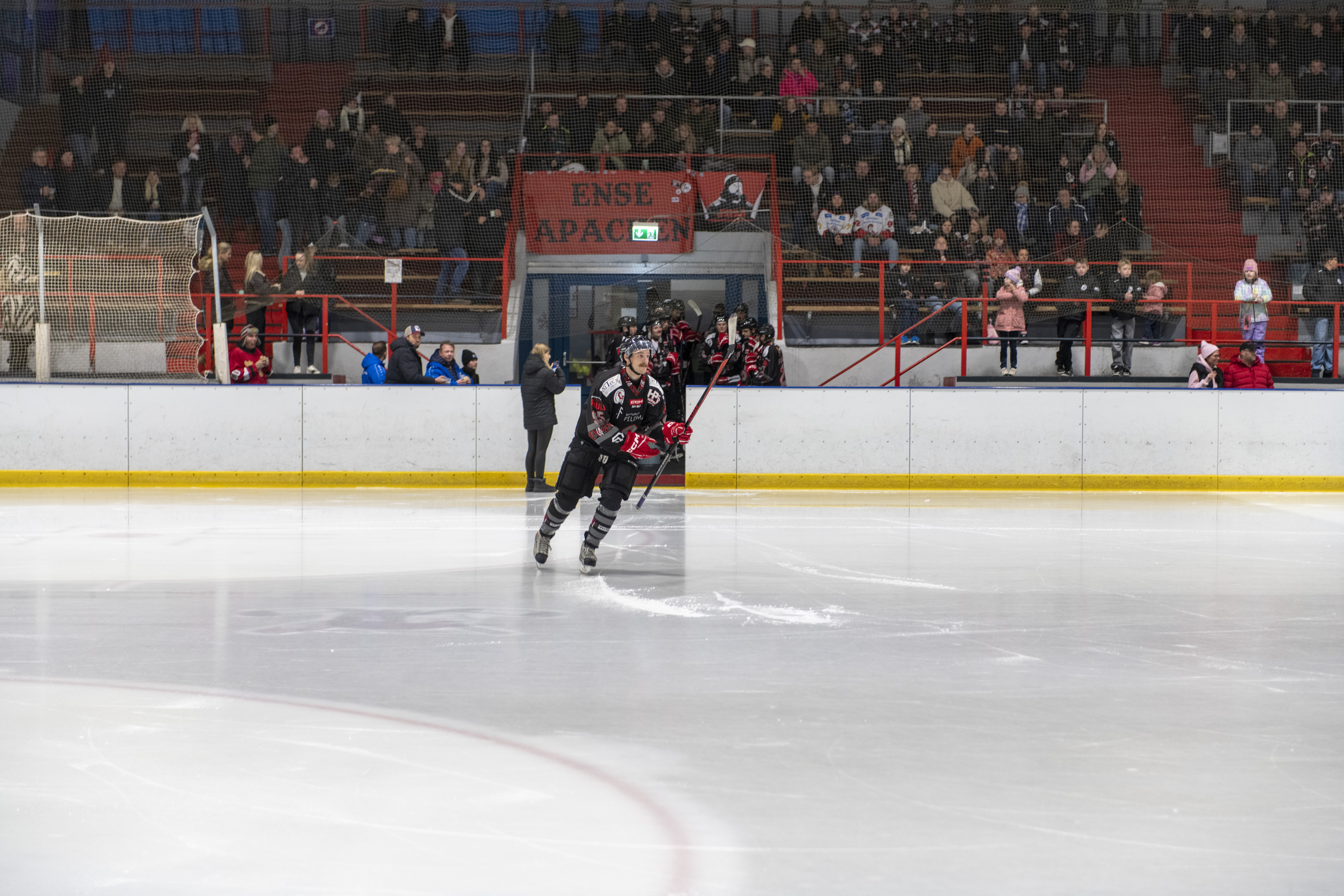 Soester EG vs. EHC Troisdorf am 02.11.2025