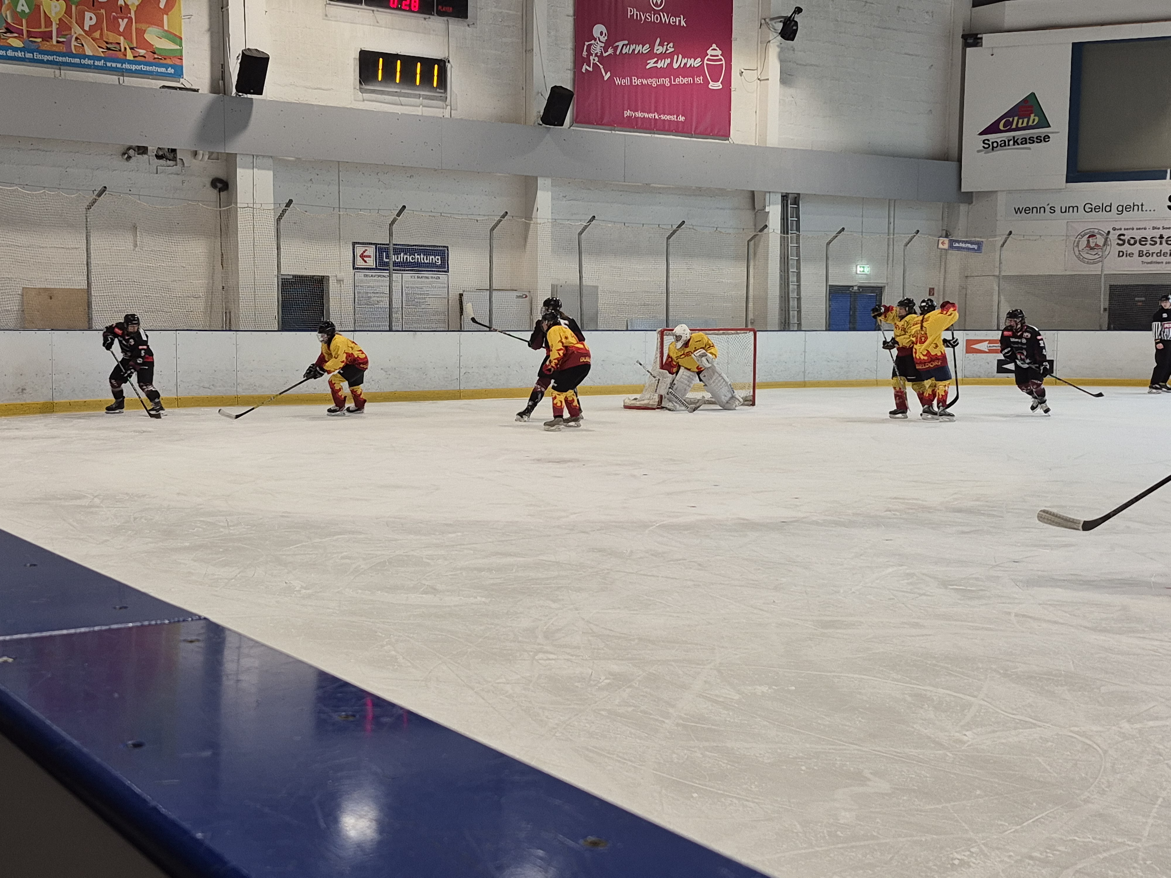 Frauen Landesliga NRW | SEG Die Bördeindianerinnen vs. Düsseldorfer Devils