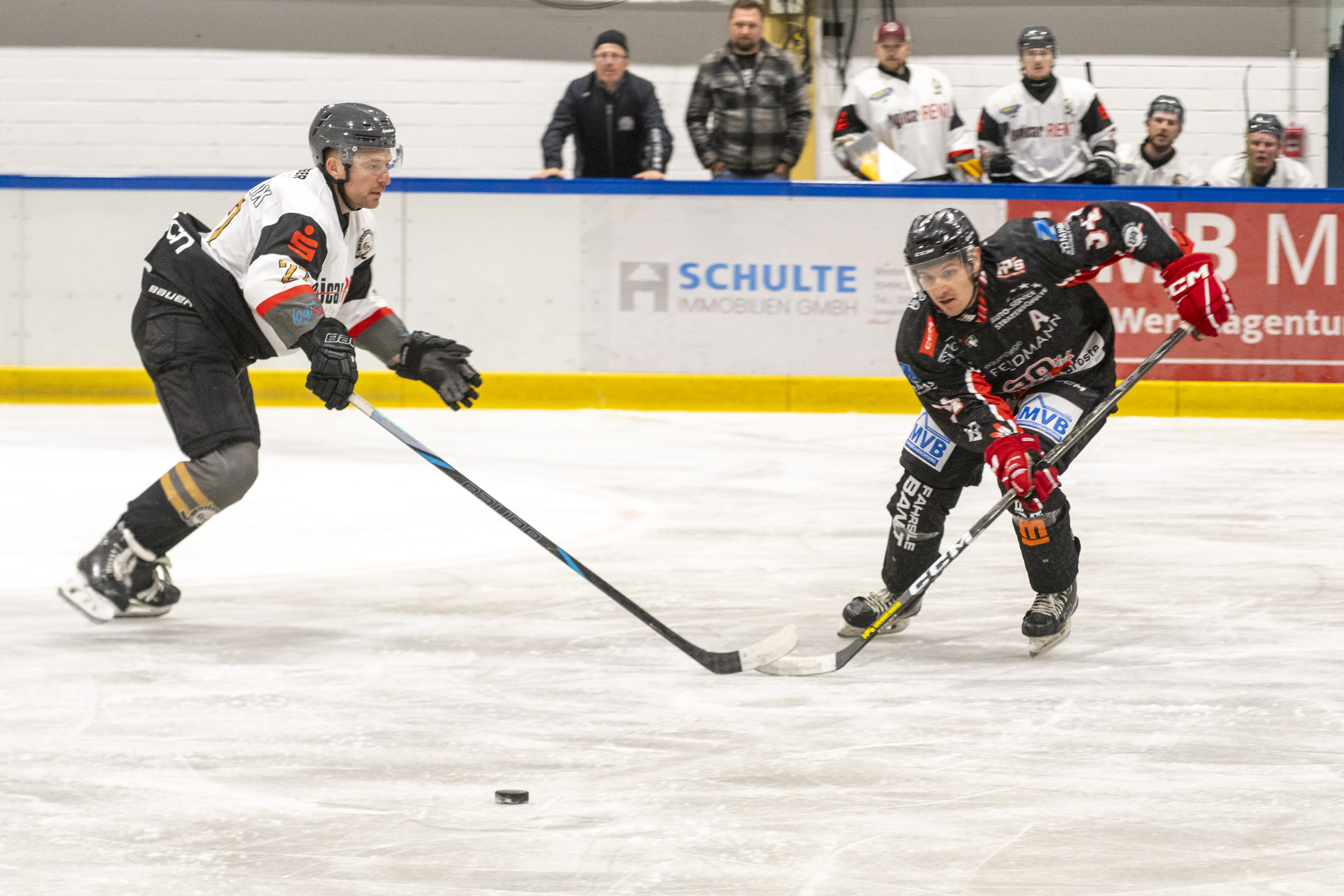 Soester EG vs. ESC Rheine am 11.10.2026