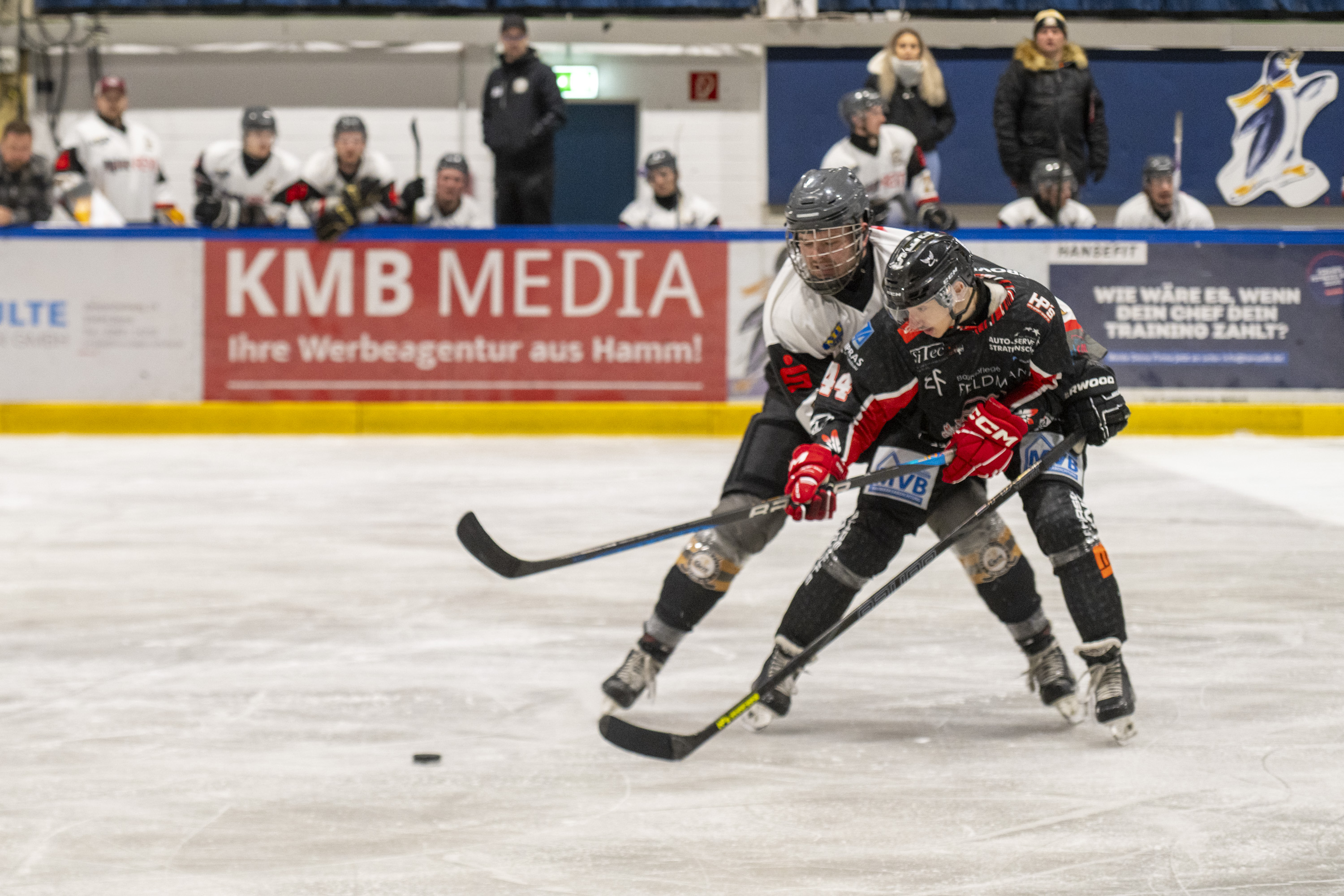 Soester EG vs. ESC Rheine am 11.10.2026