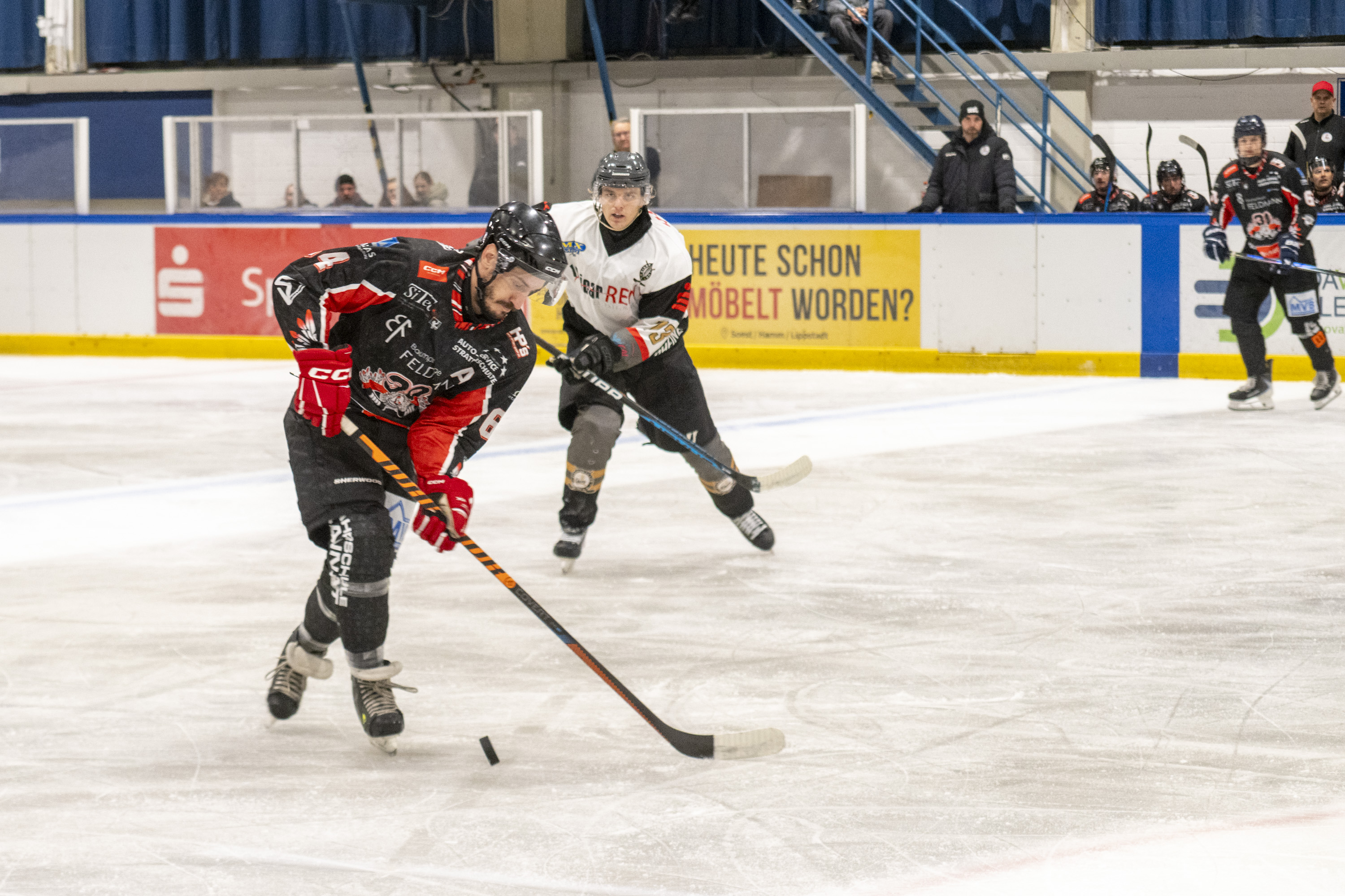 Soester EG vs. ESC Rheine am 11.10.2026