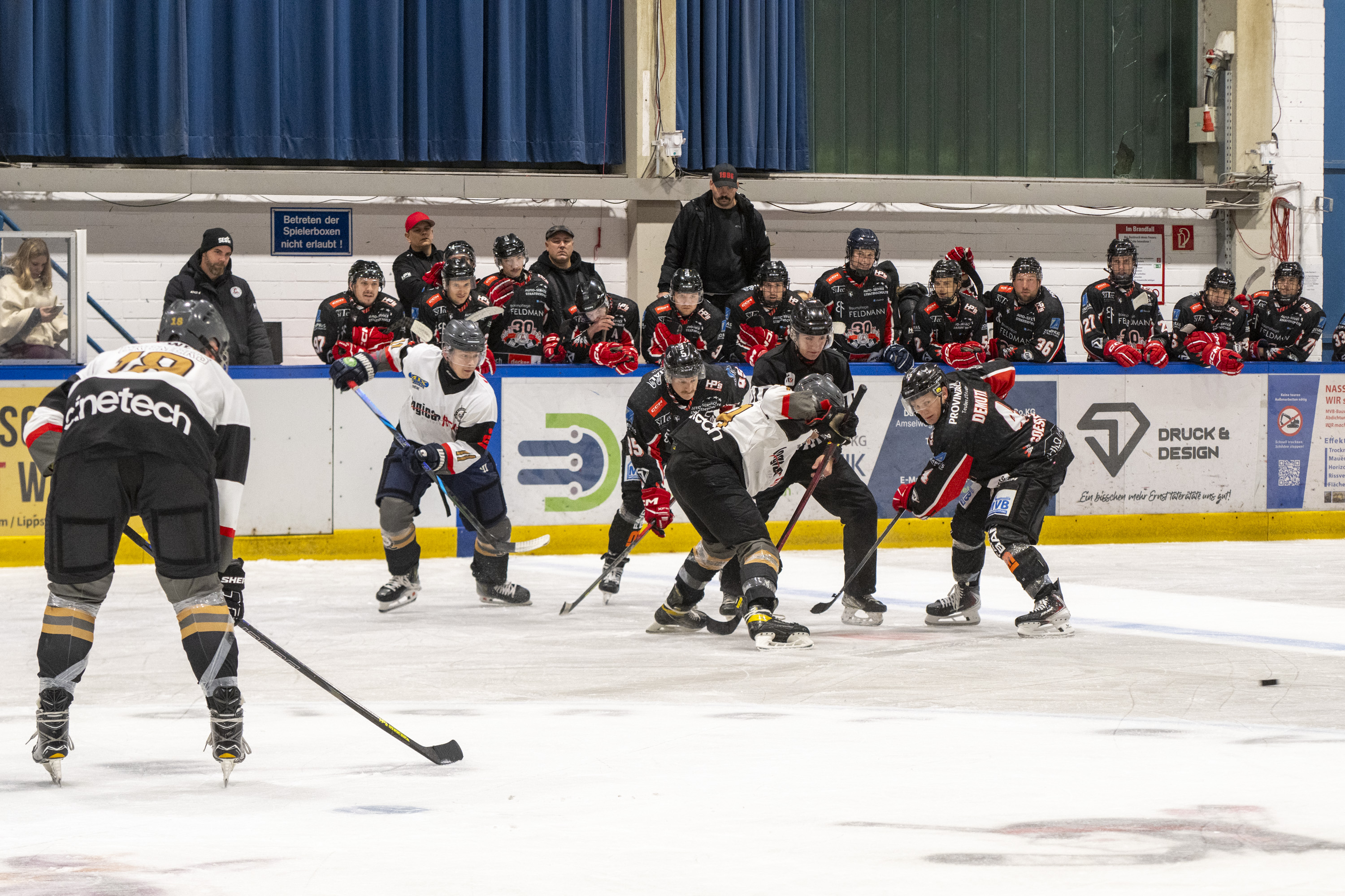 Soester EG vs. ESC Rheine am 11.10.2026