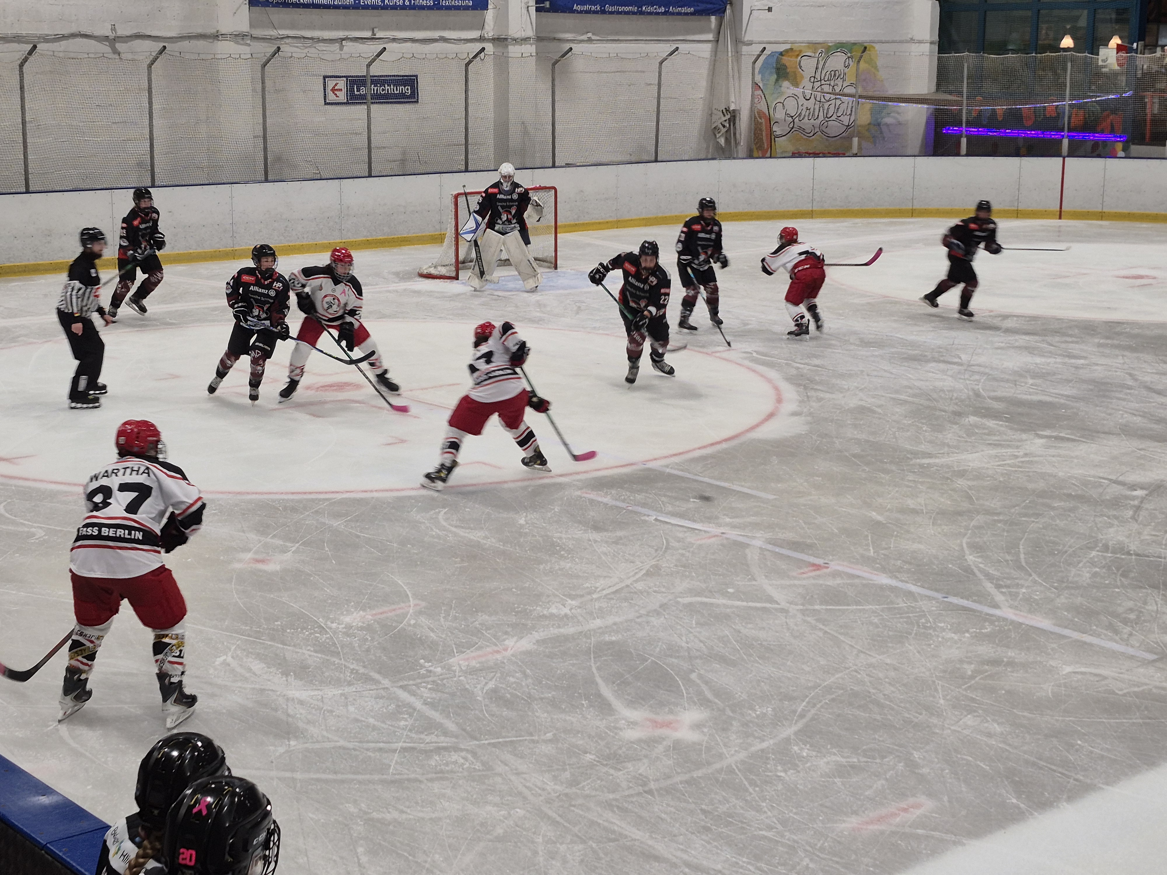DFEL 2 Nord | Soester EG vs. FASS Berlin