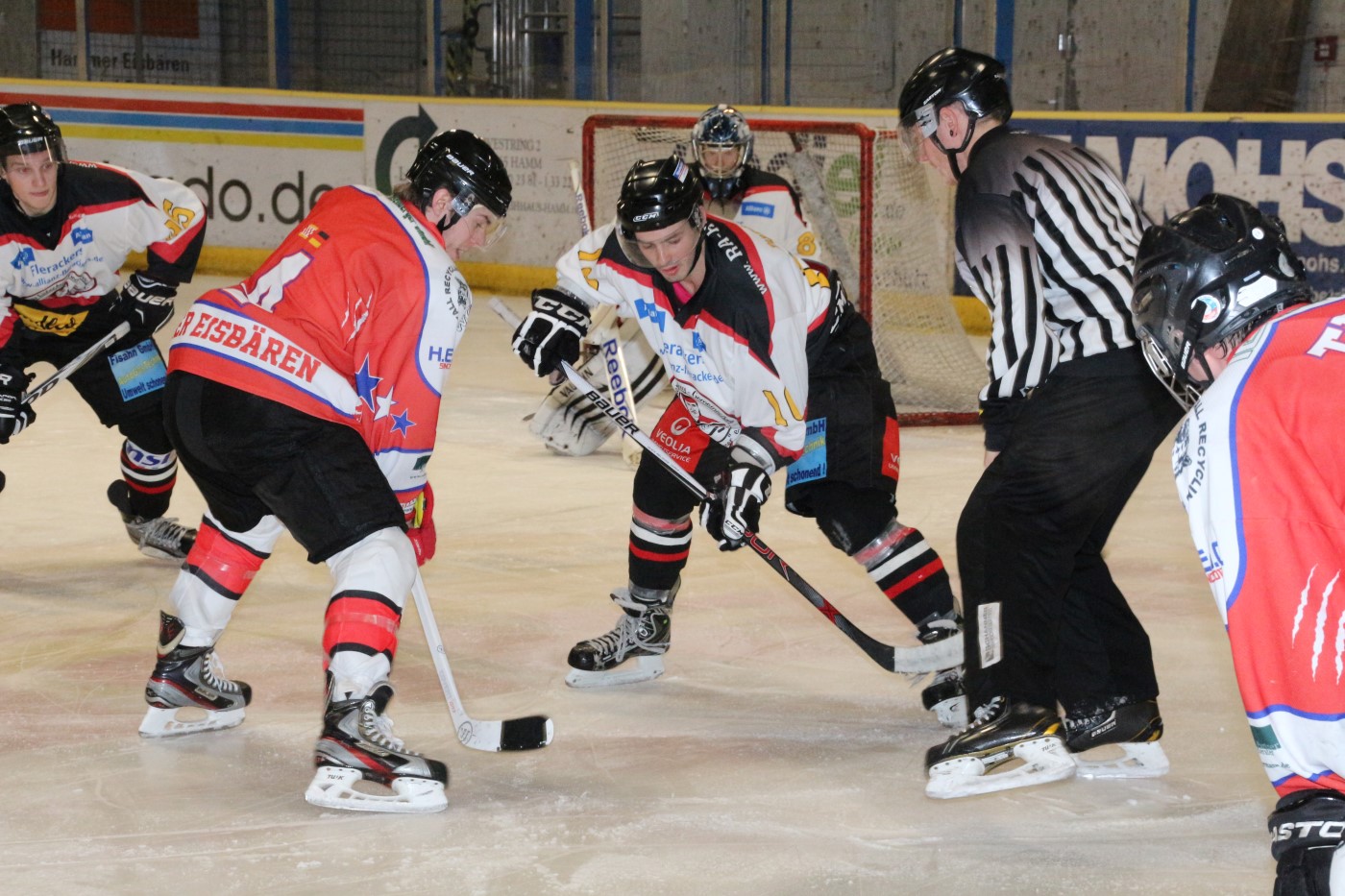 Bilder der Saison 2015/16