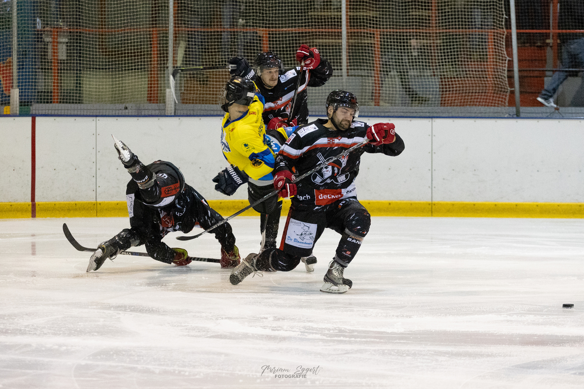 SEG vs. Eisadler Dortmund 1b
