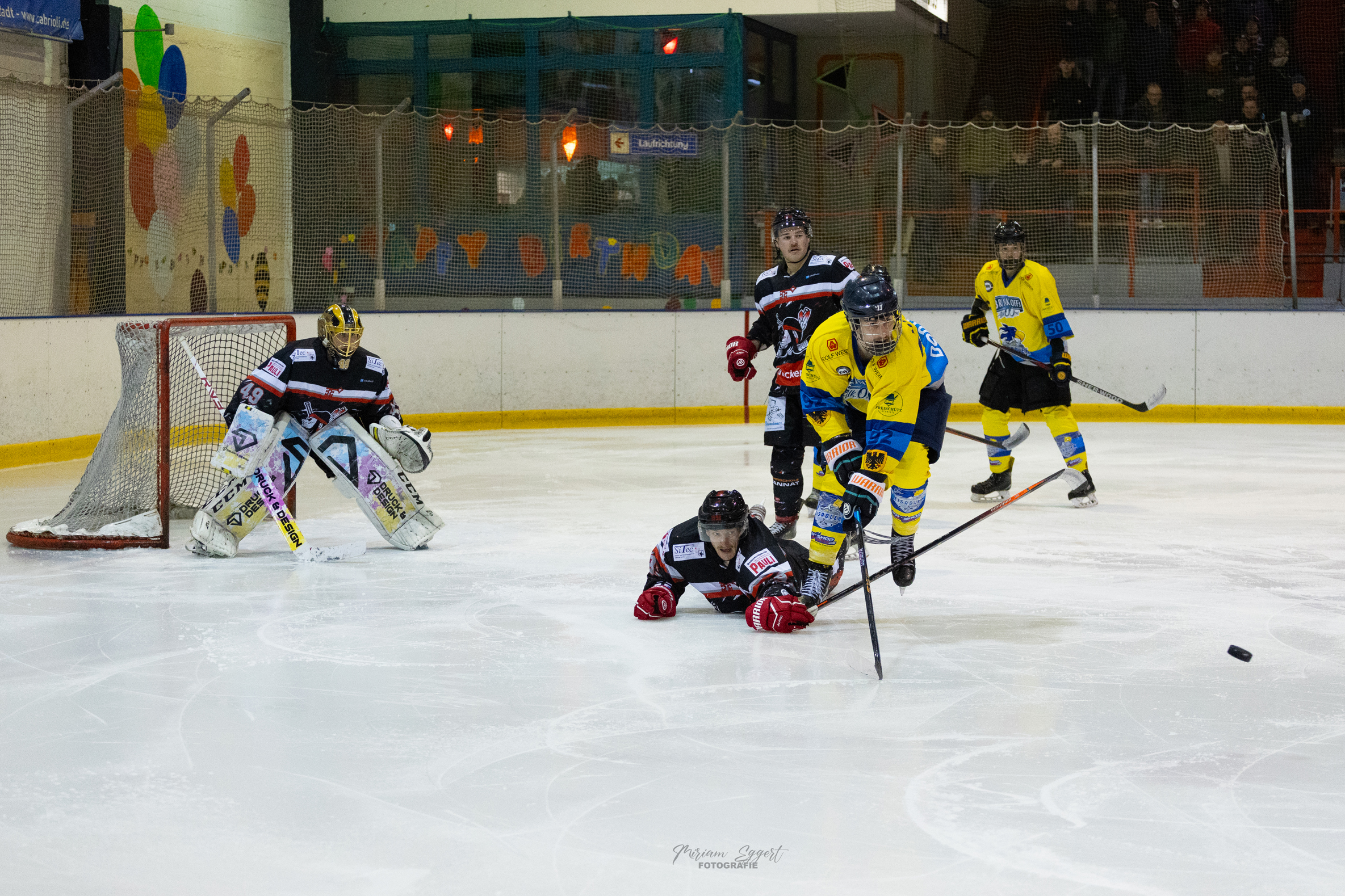 SEG vs. Eisadler Dortmund 1b