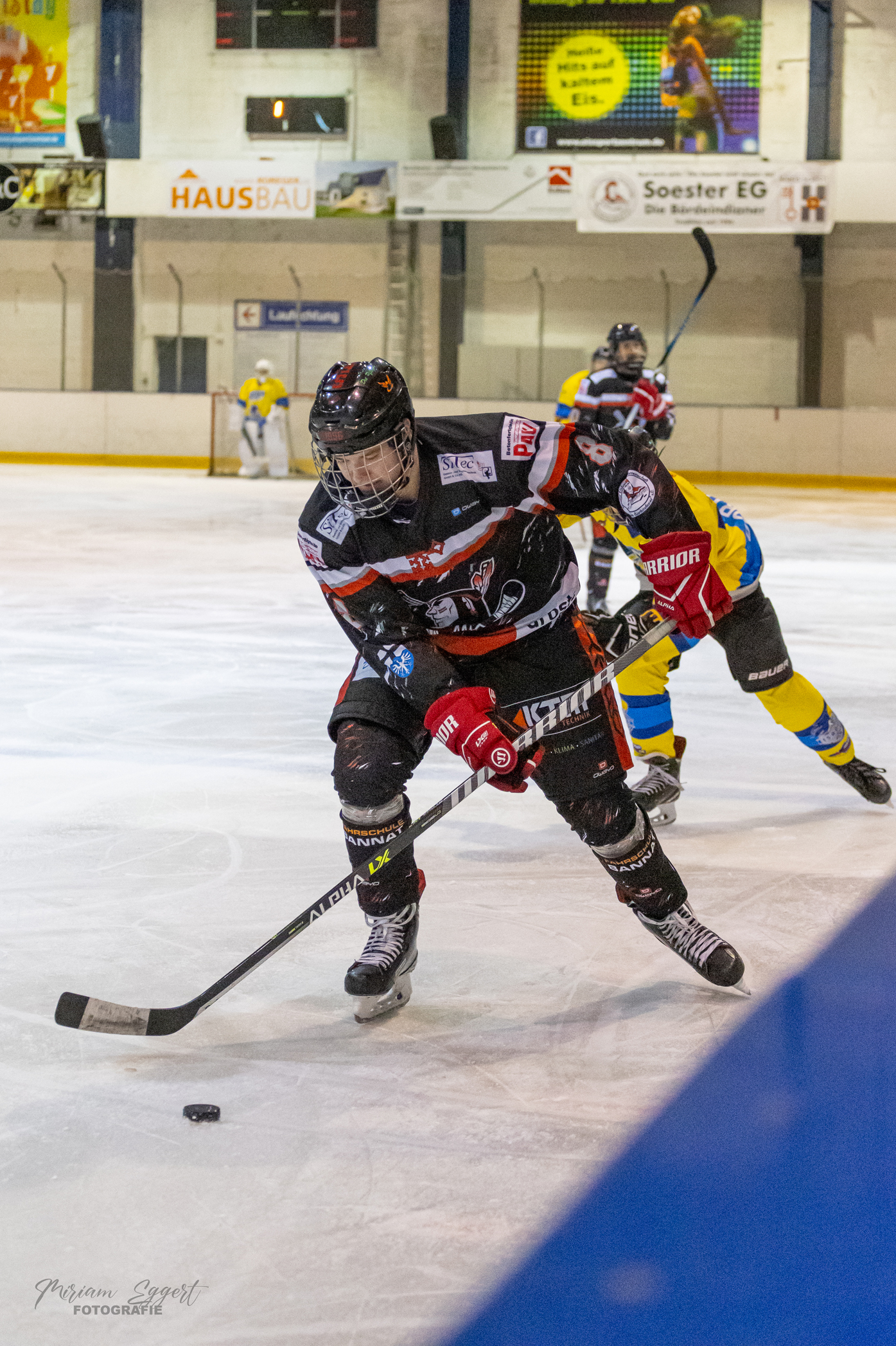 SEG vs. Eisadler Dortmund 1b