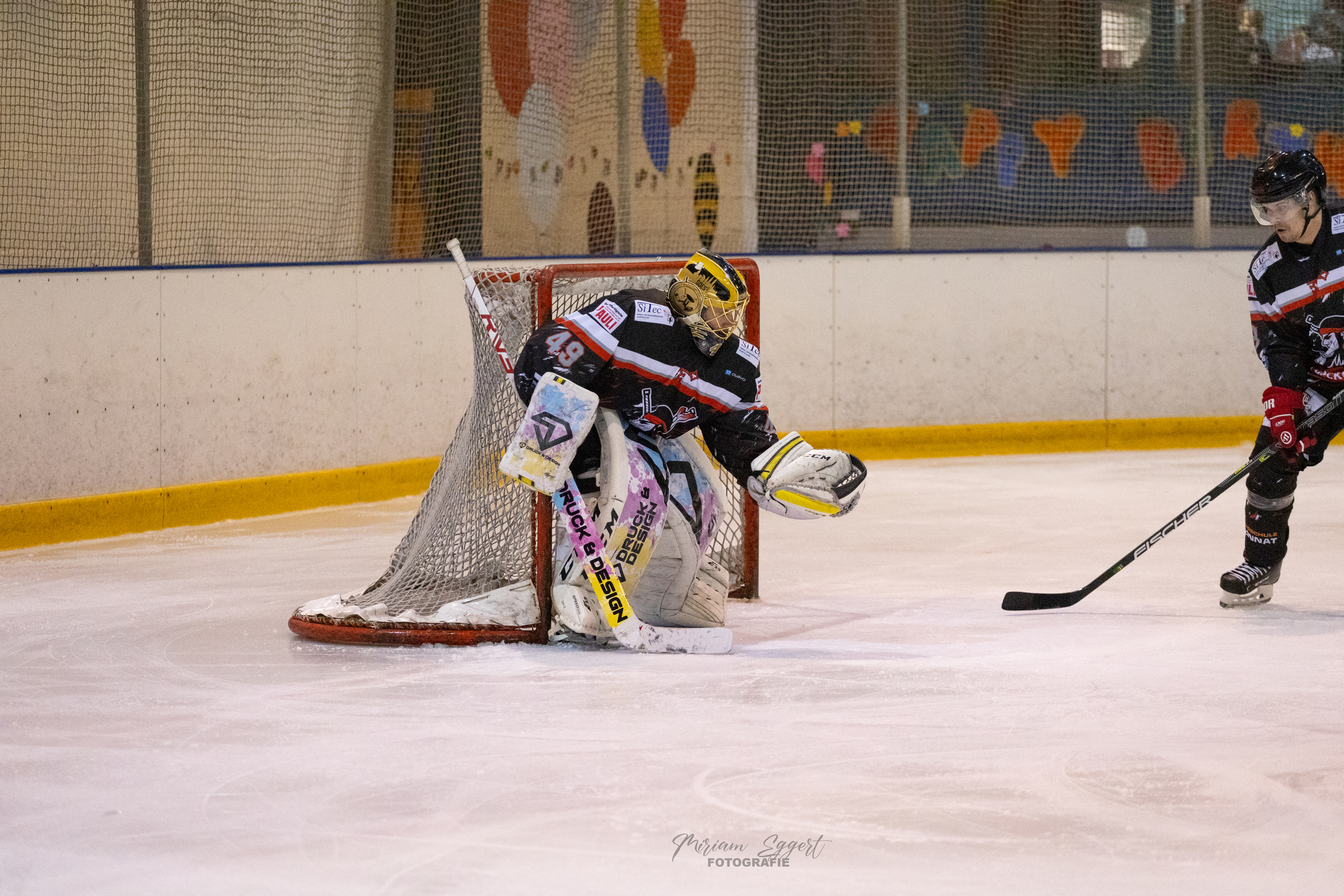 SEG vs. Eisadler Dortmund 1b