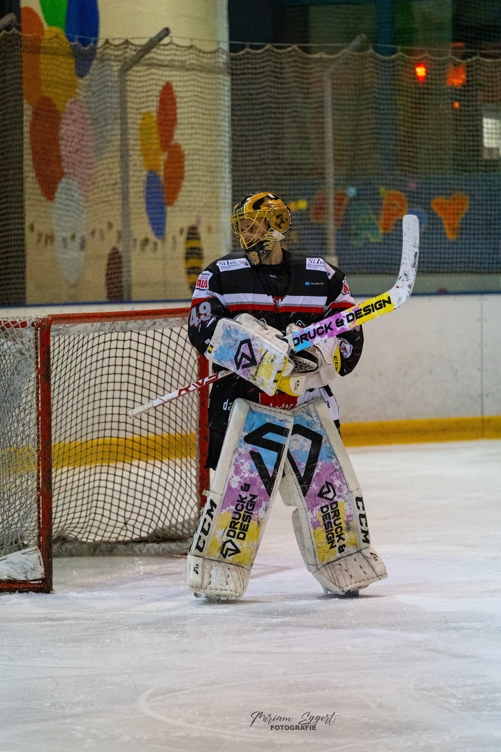 SEG vs. Eisadler Dortmund 1b