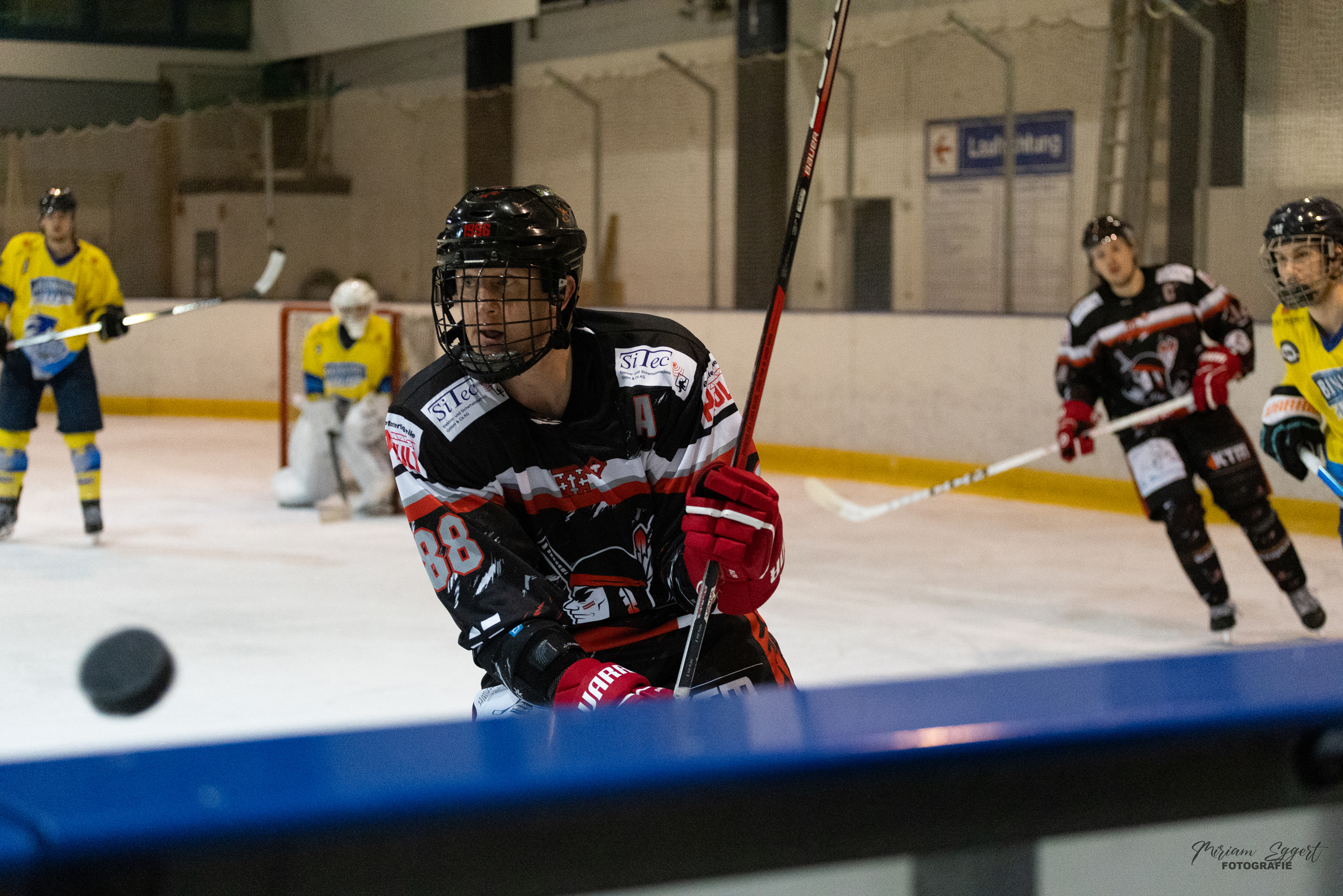 SEG vs. Eisadler Dortmund 1b