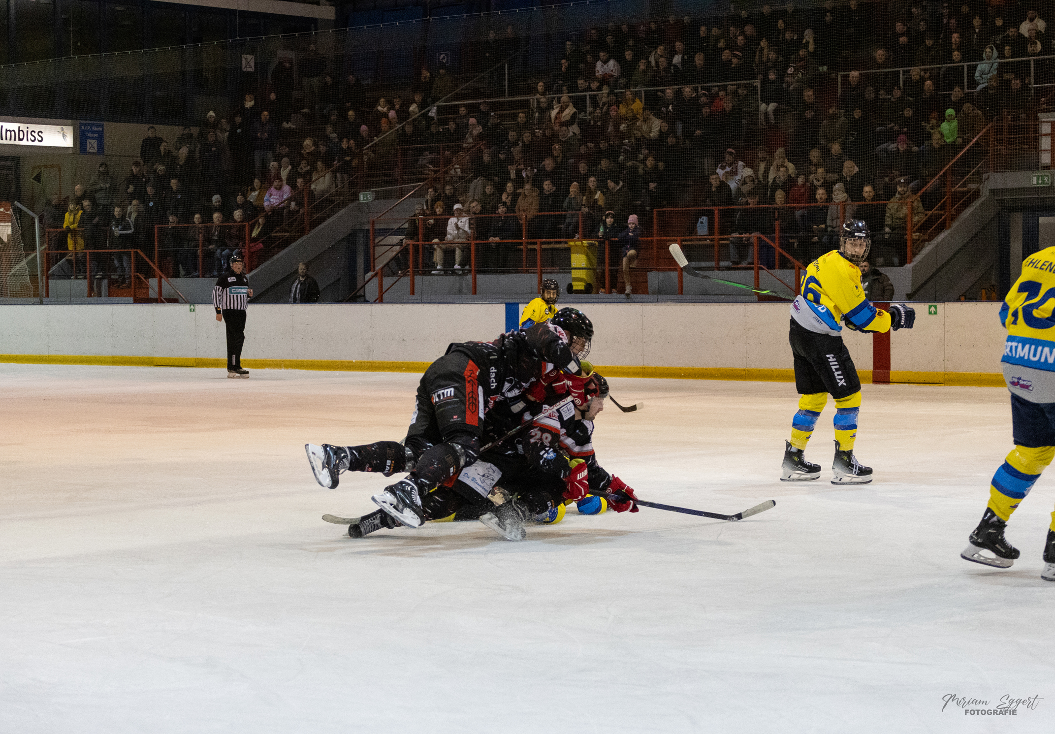 SEG vs. Eisadler Dortmund 1b