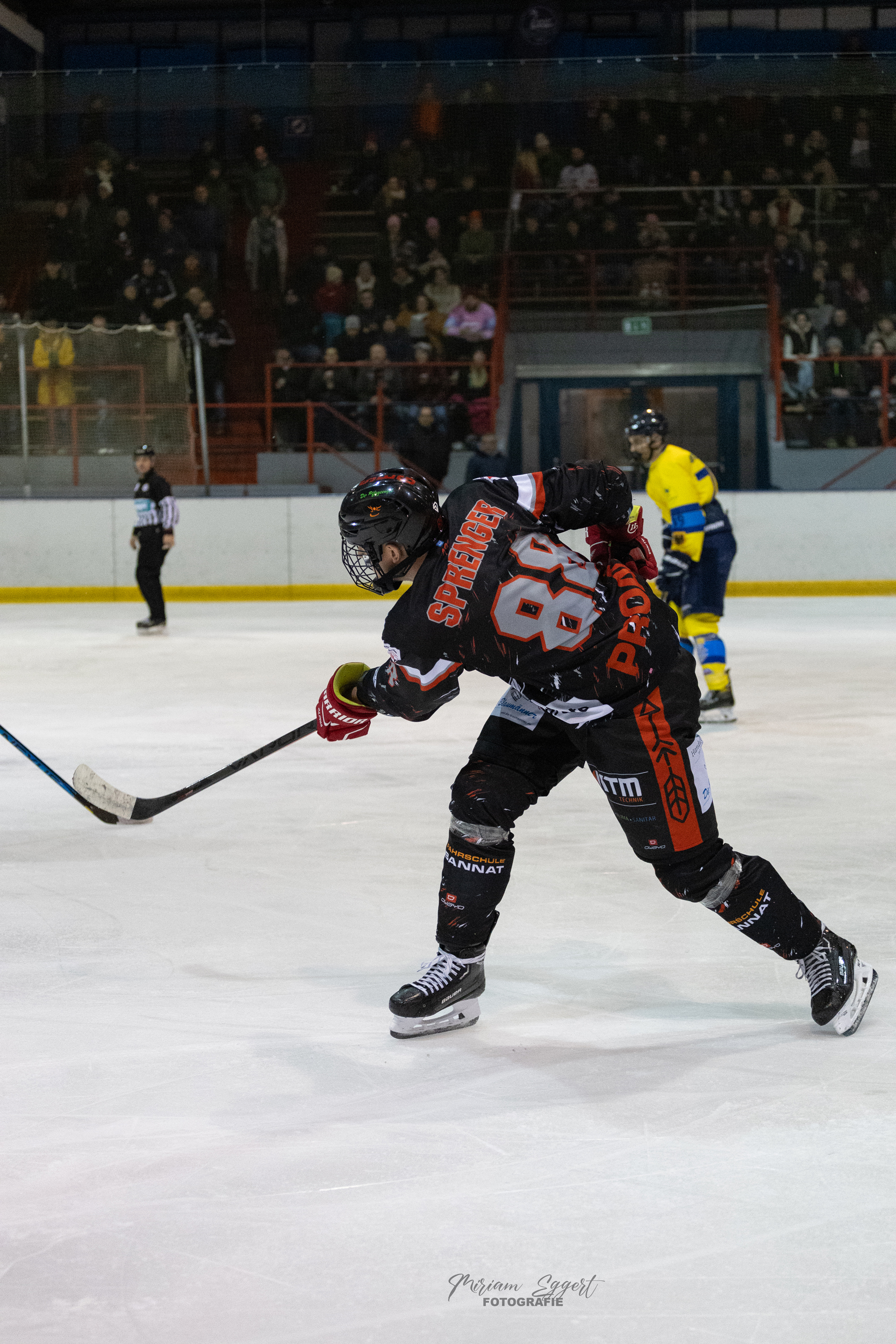 SEG vs. Eisadler Dortmund 1b