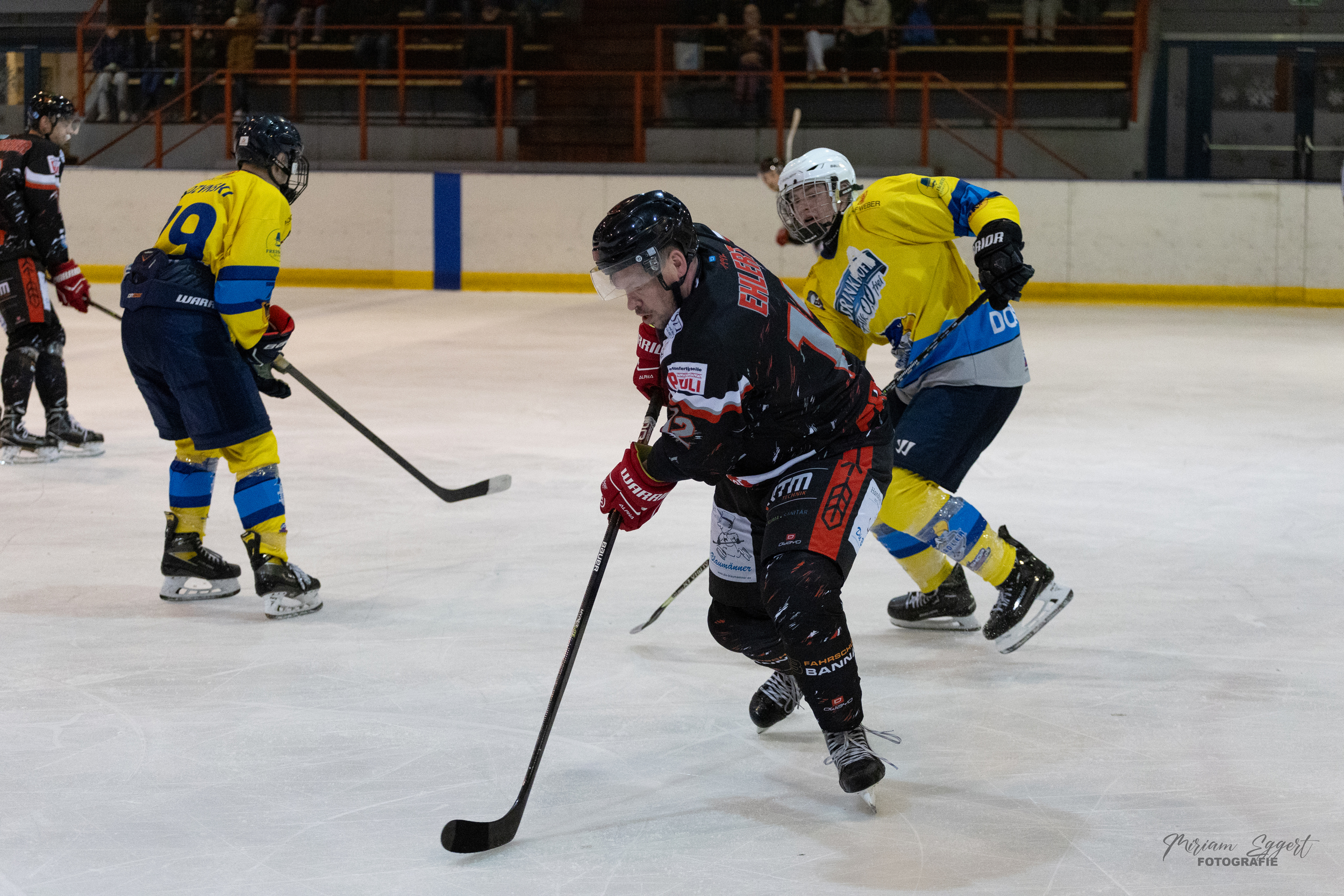 SEG vs. Eisadler Dortmund 1b
