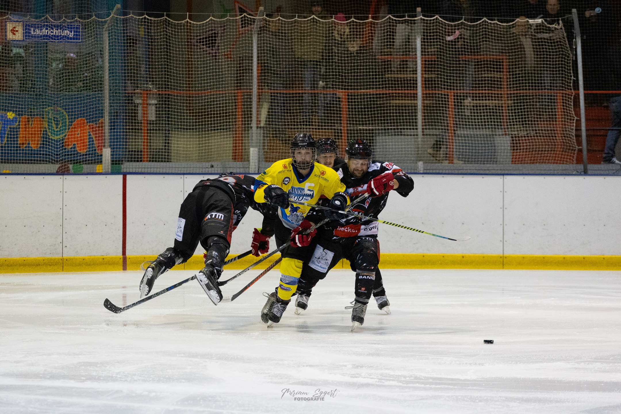 SEG vs. Eisadler Dortmund 1b