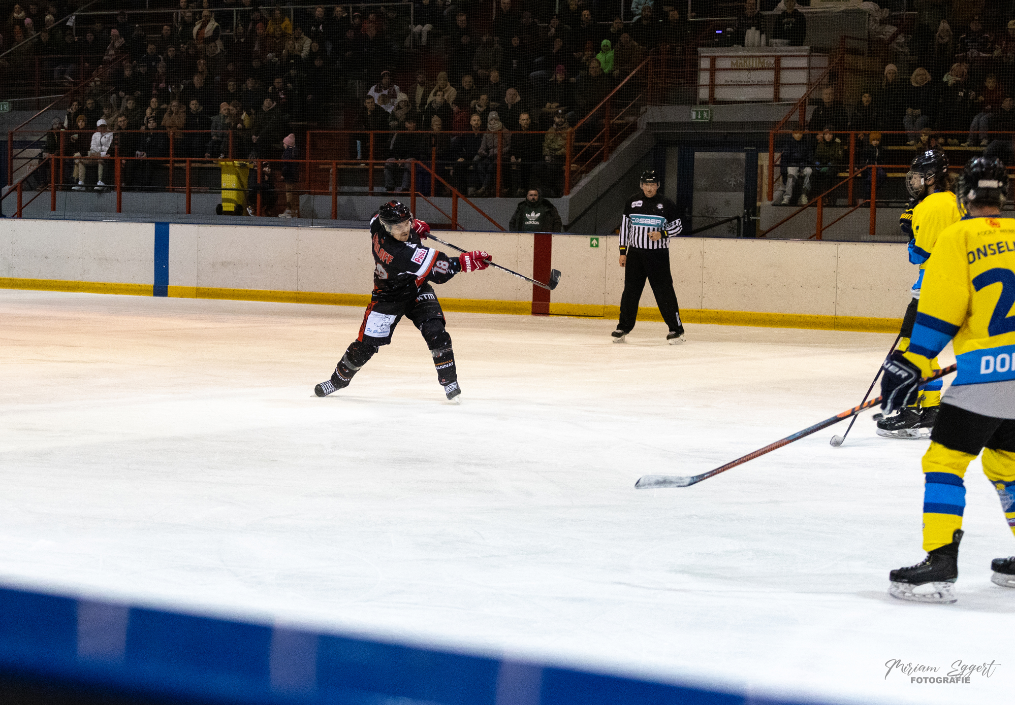SEG vs. Eisadler Dortmund 1b