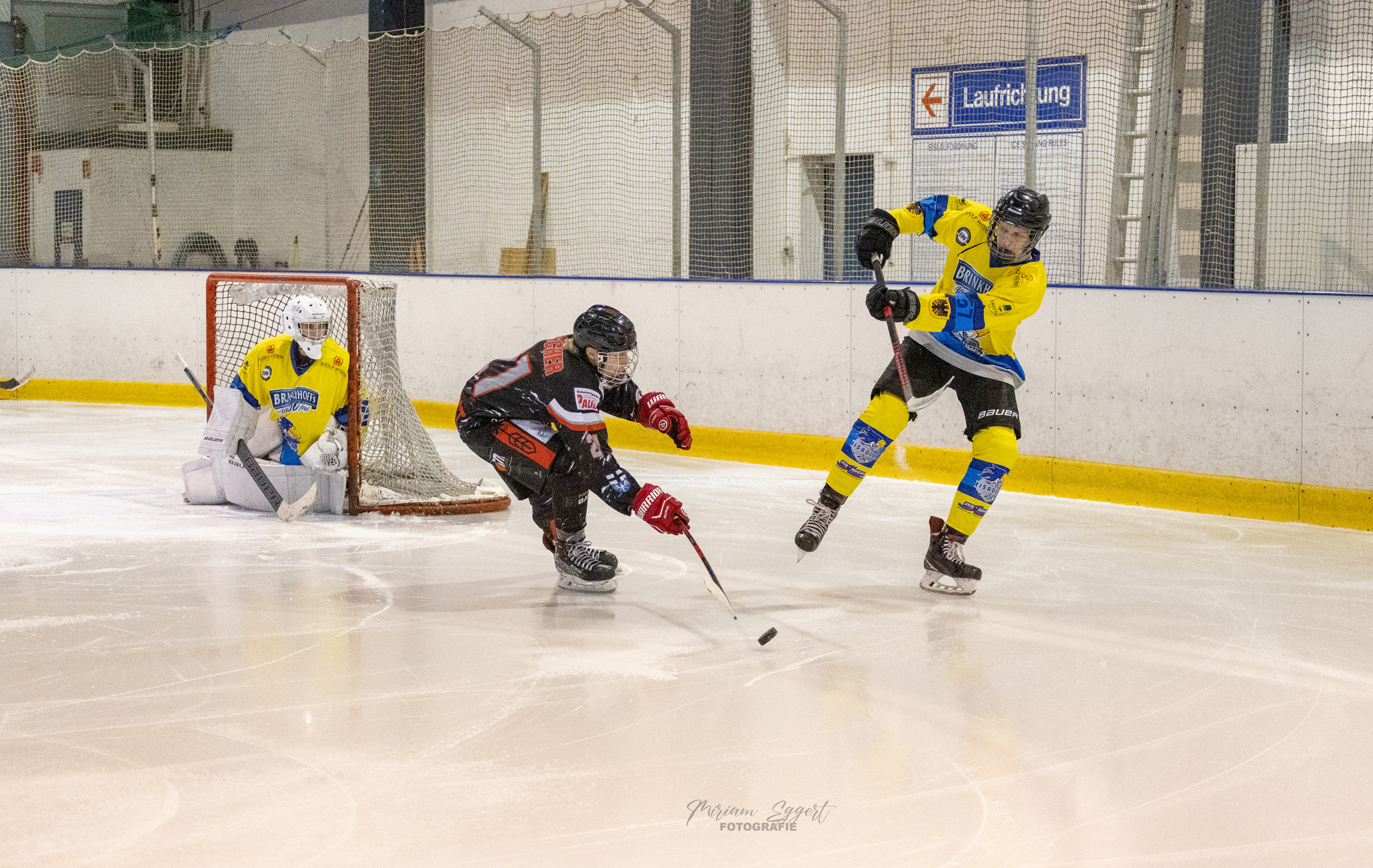 SEG vs. Eisadler Dortmund 1b