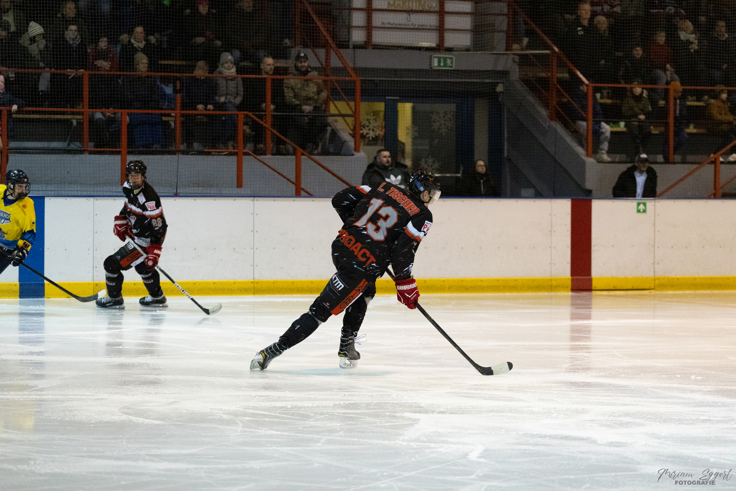 SEG vs. Eisadler Dortmund 1b