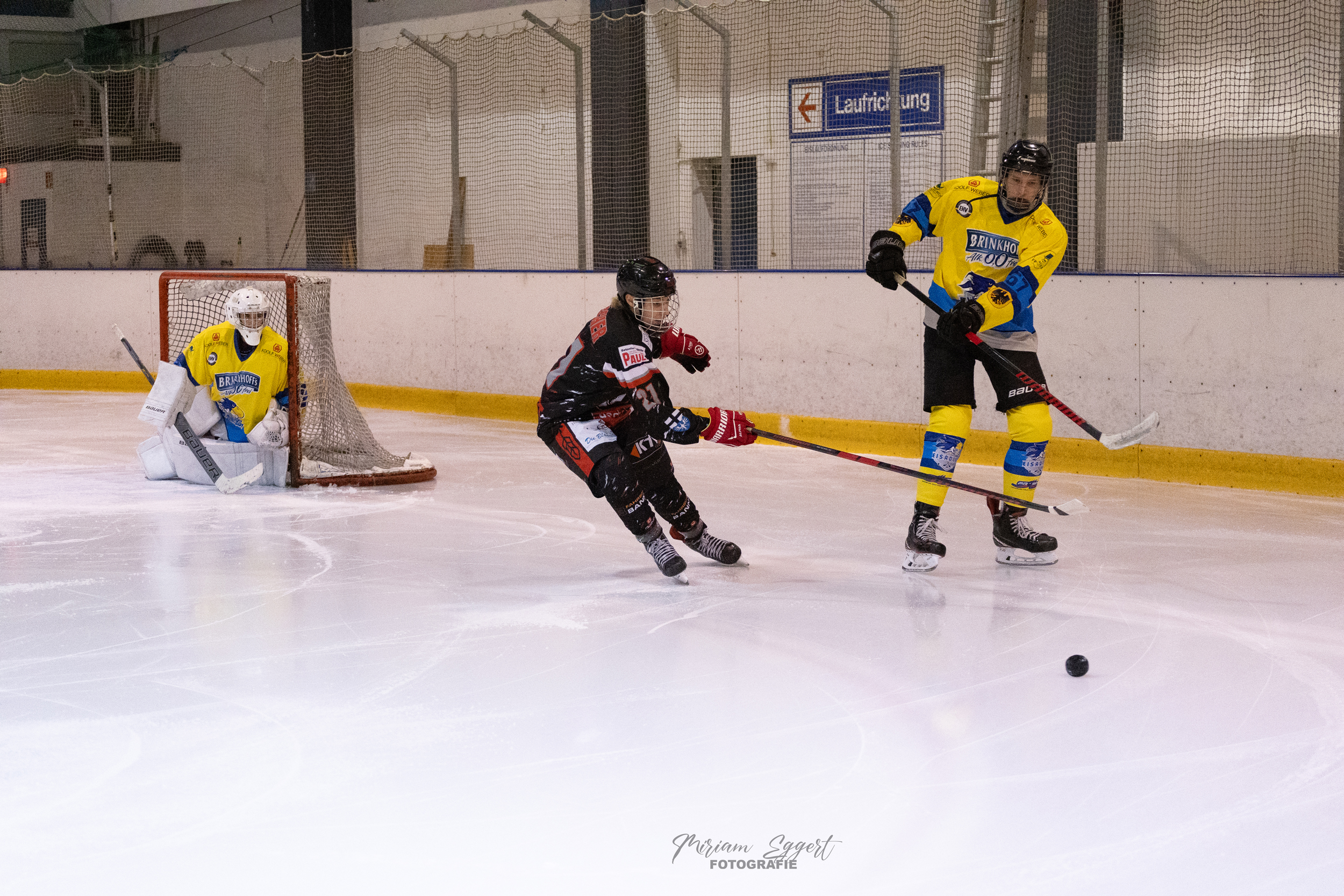 SEG vs. Eisadler Dortmund 1b