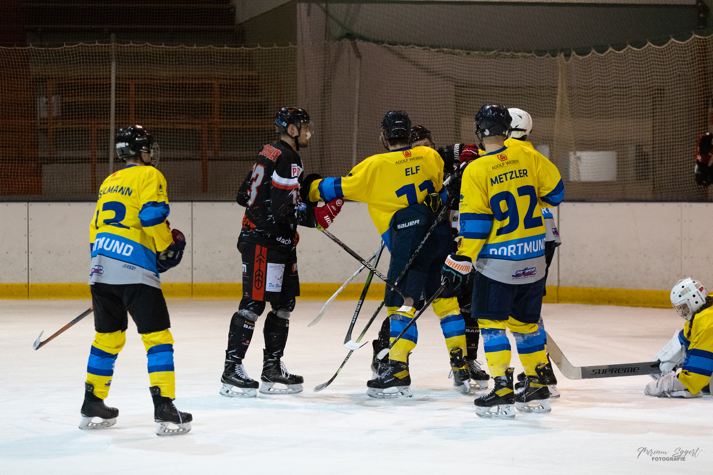 SEG vs. Eisadler Dortmund 1b