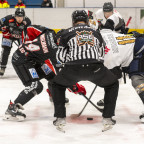 Soester EG vs. ESC Rheine am 11.10.2026