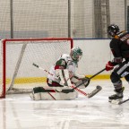 Soester EG vs. Herner EV 1b am 22.02.2026