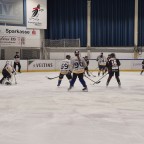 Frauen Landesliga NRW | SEG Die Bördeindianerinnen vs. Eisadler Dortmund