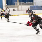 Soester EG vs. Herner EV 1b am 22.02.2026