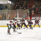 Soester EG vs. Herner EV 1b am 22.02.2026