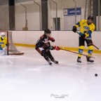 SEG vs. Eisadler Dortmund 1b