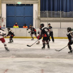 DFEL 2 Nord | Soester EG vs. FASS Berlin