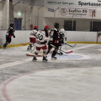 DFEL 2 Nord | Soester EG vs. FASS Berlin