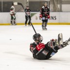 Soester EG vs. Herner EV 1b am 22.02.2026