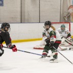 Soester EG vs. Herner EV 1b am 22.02.2026