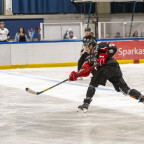 Soester EG vs. ESC Rheine am 11.10.2026