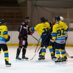 SEG vs. Eisadler Dortmund 1b