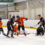 Soester EG vs. Dinslakener Kobras 1b am 16.11.2025