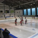 Open Ice 2019