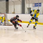 SEG vs. Eisadler Dortmund 1b