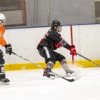 Soester EG vs. Dinslakener Kobras 1b am 16.11.2025