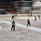 DFEL 2 Nord | Soester EG vs. FASS Berlin