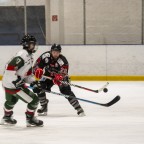 Soester EG vs. Herner EV 1b am 22.02.2026