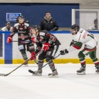Soester EG vs. Herner EV 1b am 22.02.2026