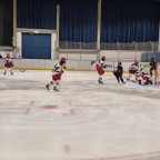 DFEL 2 Nord | Soester EG vs. FASS Berlin
